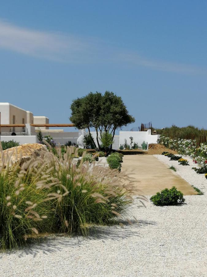 Xerolithos Natural Living Κάτω Σαγκρί Εξωτερικό φωτογραφία