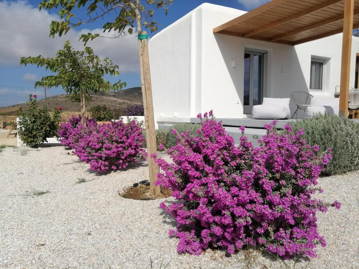 Xerolithos Natural Living Κάτω Σαγκρί Εξωτερικό φωτογραφία