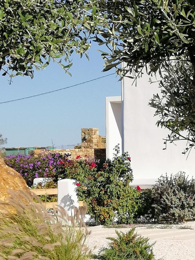 Xerolithos Natural Living Κάτω Σαγκρί Εξωτερικό φωτογραφία